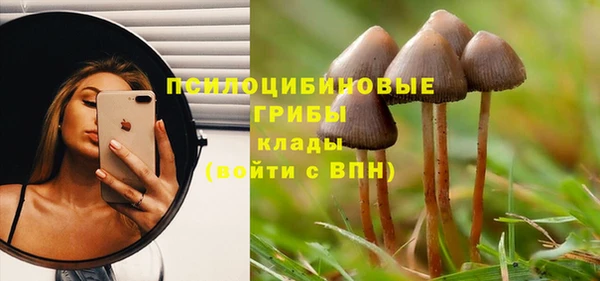ешки Сатка