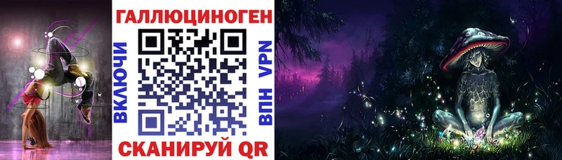 купить наркотик Киселёвск МЕГА зеркало Псилоцибиновые грибы прущие грибы